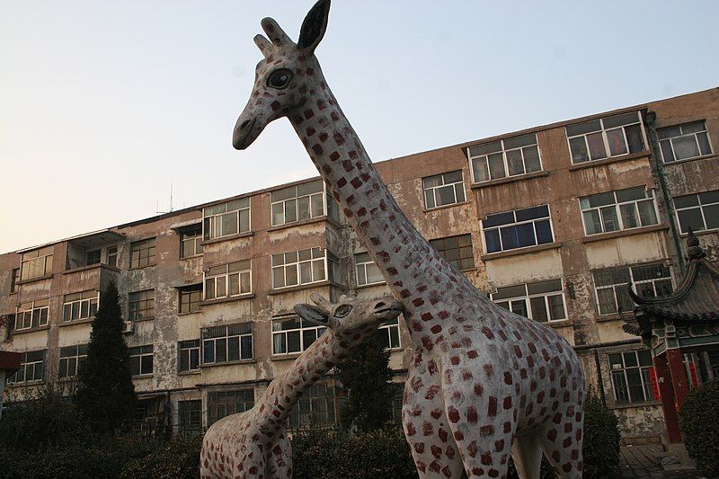 File:Binzhou-Giraffe03.jpg