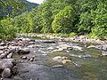 Bluestone River in Pipestem Resort State Park