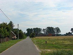 Road in Goszczędza