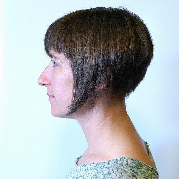 File:Inverted bob haircut.jpg