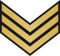 File:Ireland-Navy-OR-5.svg