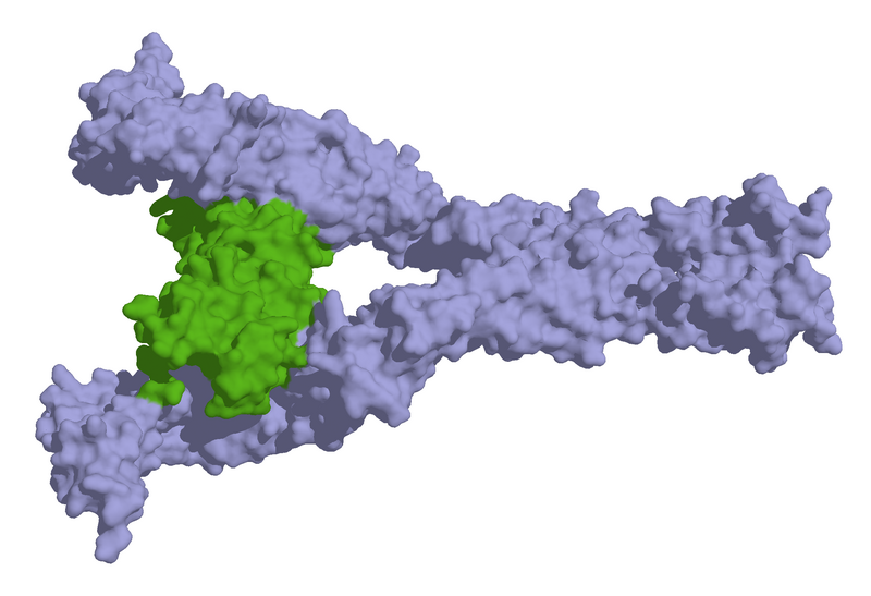 File:Kit ligand 2E9W.png