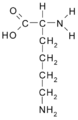 Lysine (Lys / K)