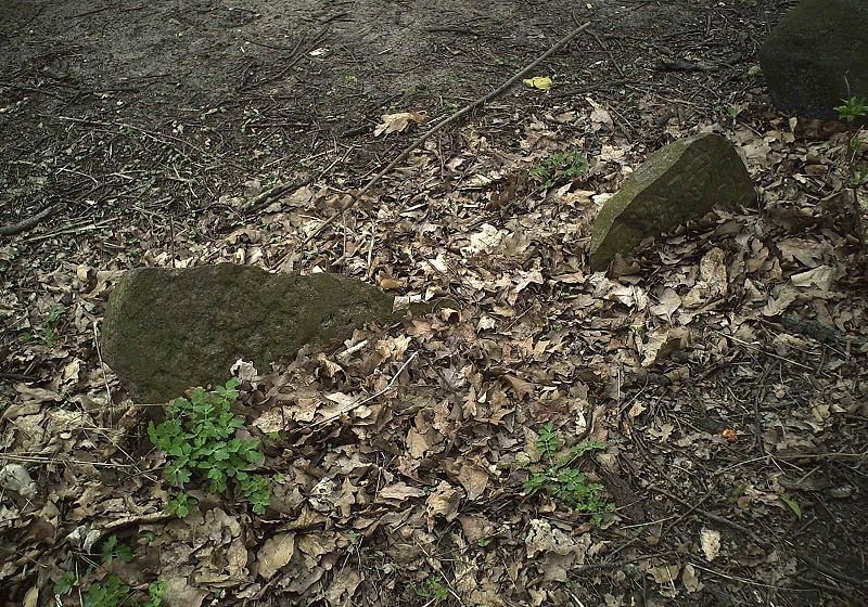 File:Oldest gravestones Skwierzyna.JPG