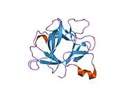 1too: Interleukin 1B Mutant F146W