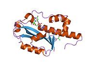 1wlj: human ISG20