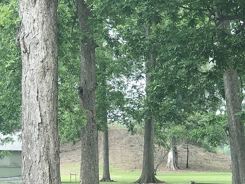 File:Peck Mound.jpg