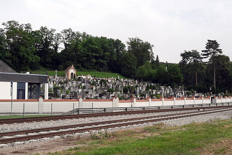 File:Pitten-Friedhof 2024.jpg