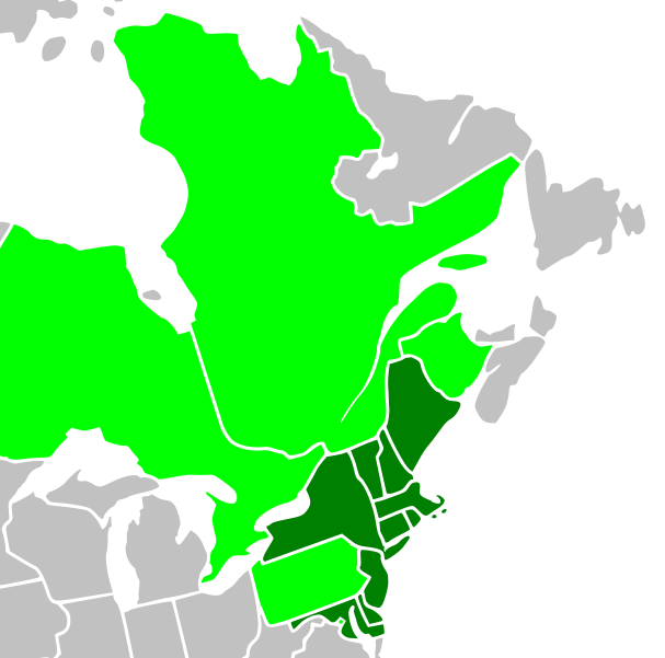 File:Rggi map.svg