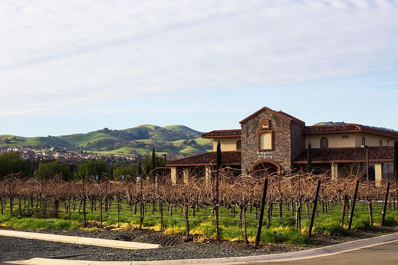 File:Ruby Hill Winery.jpg