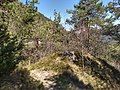 Mount Camiolo di Cima, Trail of Costa delle Ombrie