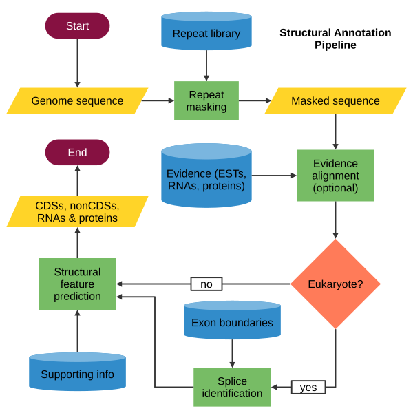 File:Structural Annotation Flowchart.svg