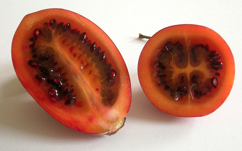 File:Tamarillos im Anschnitt(janek2005).jpg