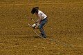 The competitor throws the goat to the ground in order to tie its legs