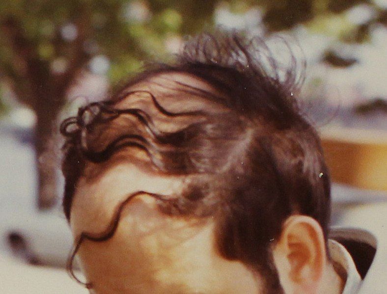 File:Unruly combover.jpg