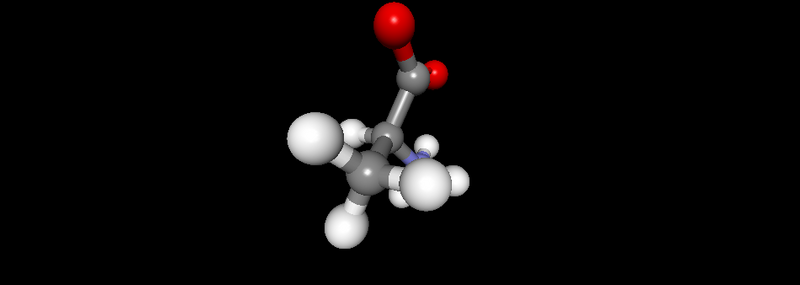 File:Ala Peptide 1.png