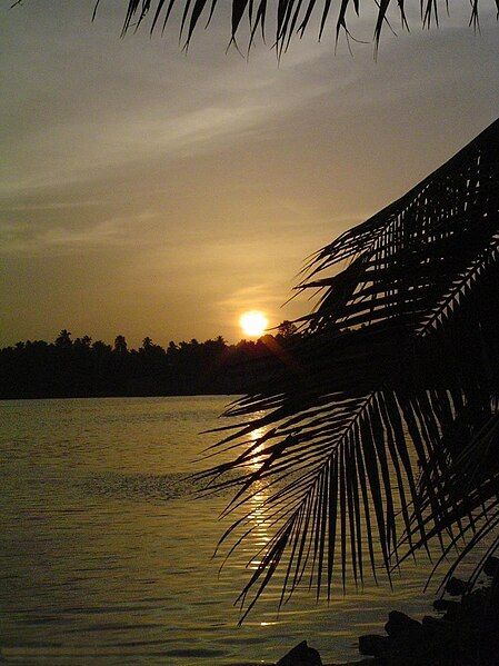 File:Backwaters sunset.JPG