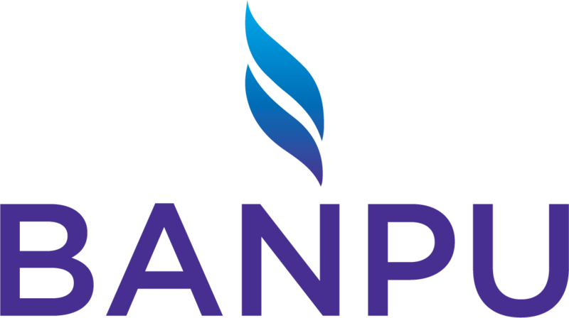 File:Banpu Logo.png