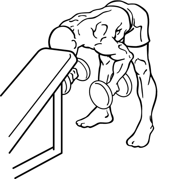 File:Bent-over-rear-delt-row-with-head-on-bench-2.png