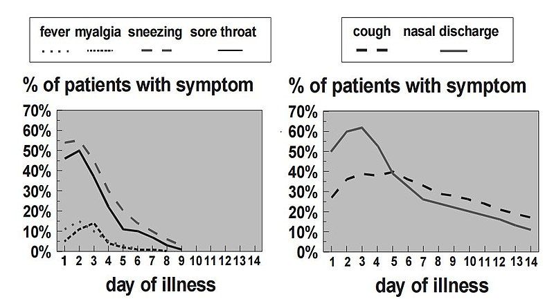 File:Cold symptoms cdc.jpg