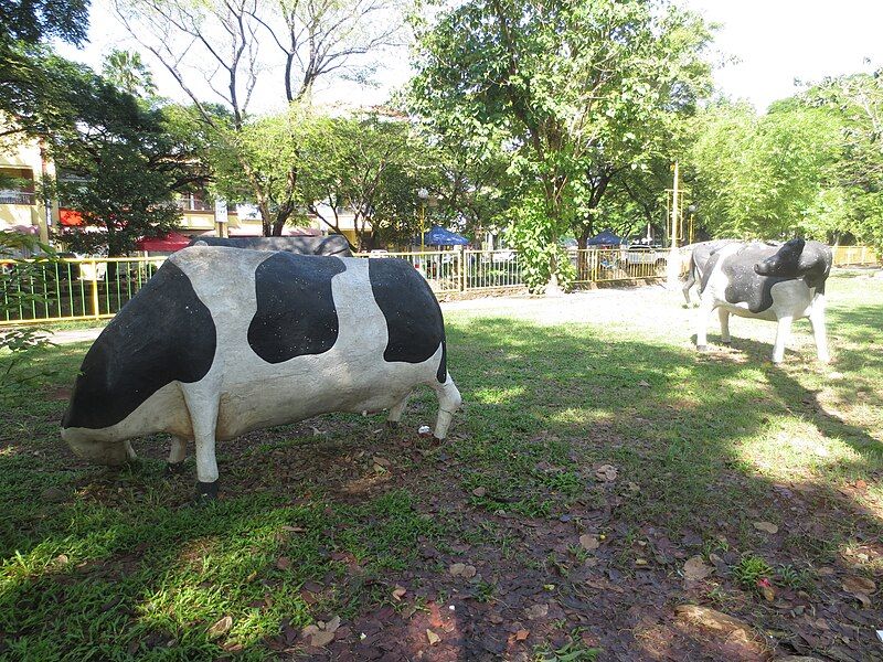 File:Cows Evolution Park.JPG