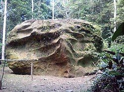 The Cumpanamá Petroglyph