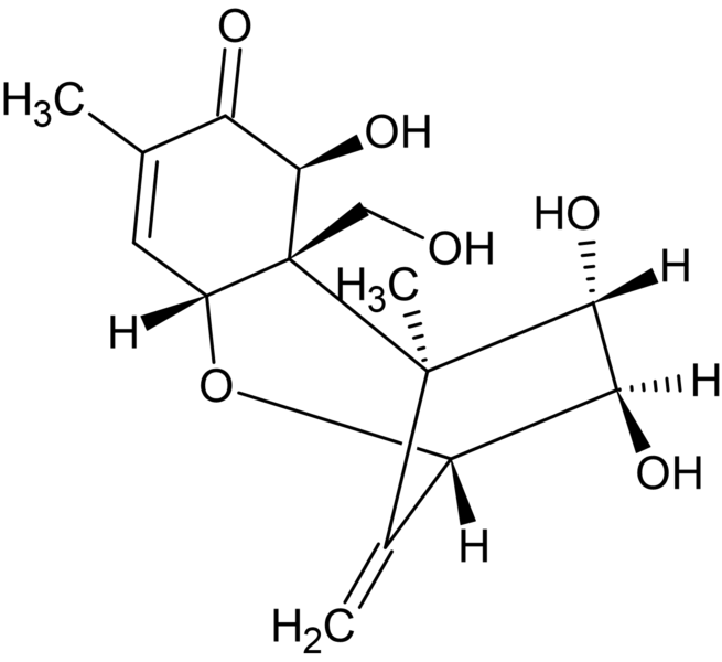 File:De epoxynivalenol.png