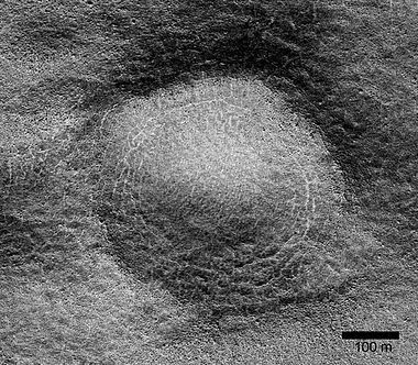 Close view of possible pingo with scale, as seen by HiRISE under HiWish program