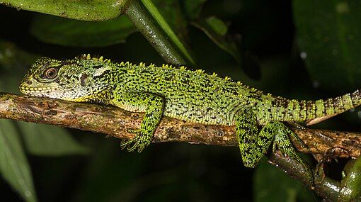 In Ecuador