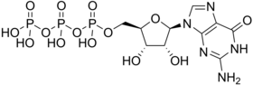 Skeletal formula of guanosine triphosphate