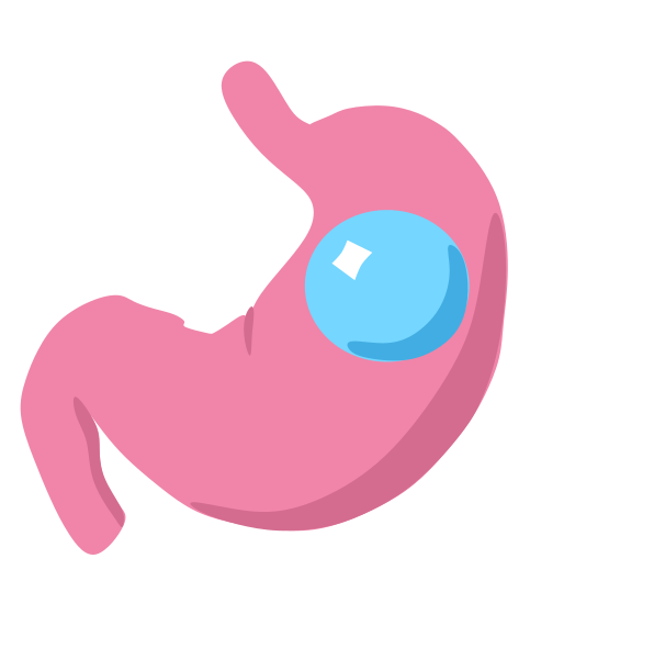 File:Gastric Balloon Icon.svg