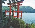 Hakone Shrine torii