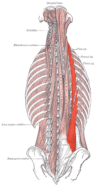 File:Iliostalis.png