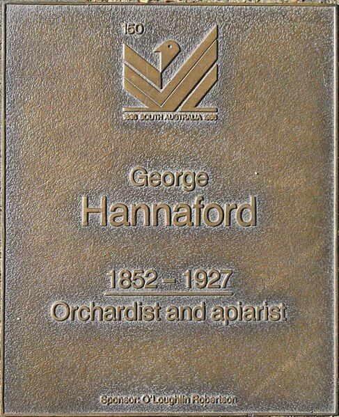 File:J150W-Hannaford-G.jpg