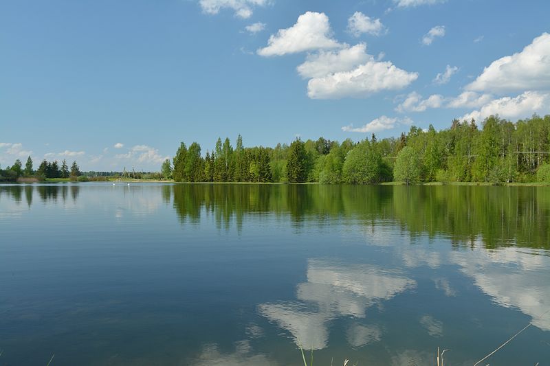 File:Kõpu tiik.jpg