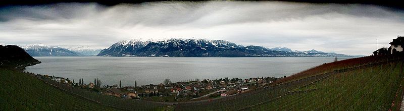 File:Leman Lavaux Cully.jpg