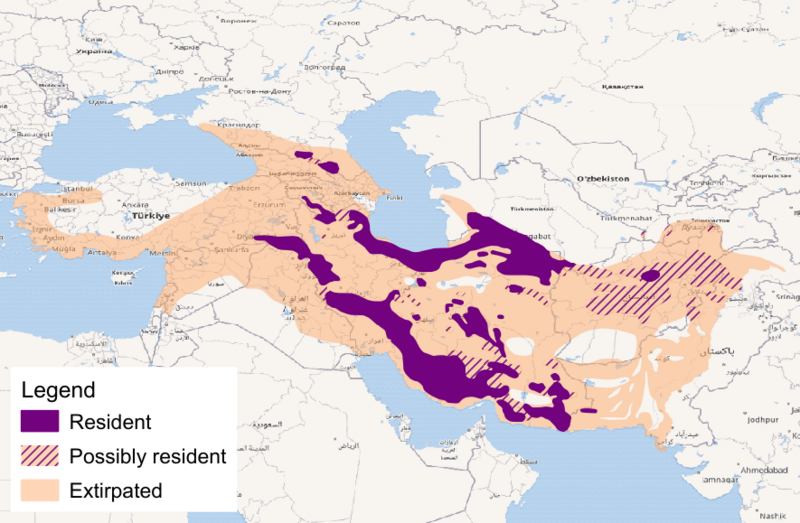 File:Leopard-tulliana-range.png