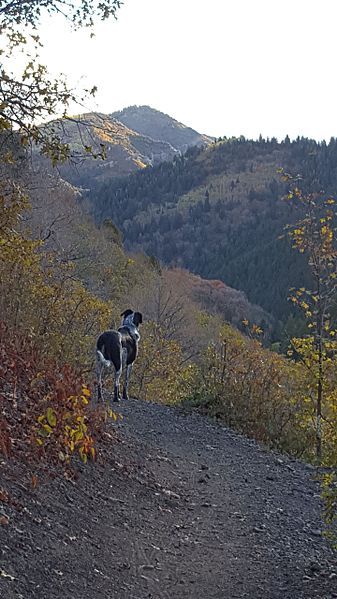 File:Millcreek Canyon.jpg