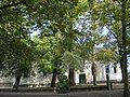 110 year-old 'Variegata' in background, to left of door, by the old church at Houten (2020)