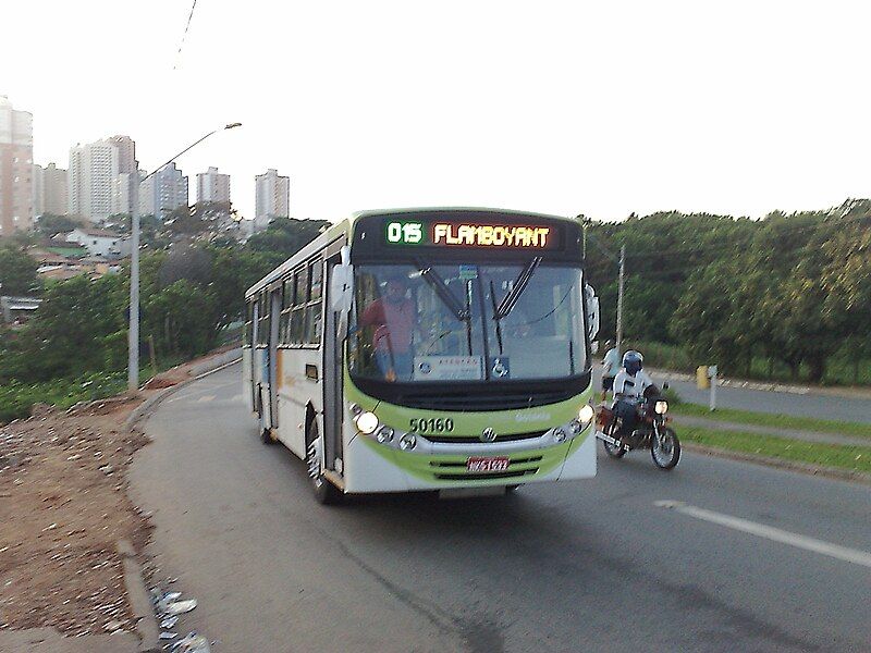 File:Newbusgoiania.jpg