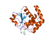 1wrm: Crystal structure of JSP-1