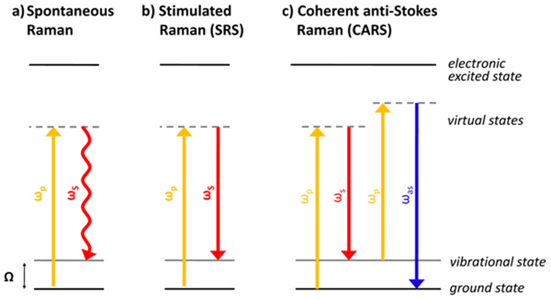 File:Principles energy levels.png