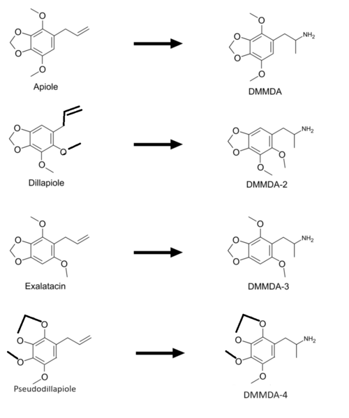 File:Pseudodillapiolesynthesis.png