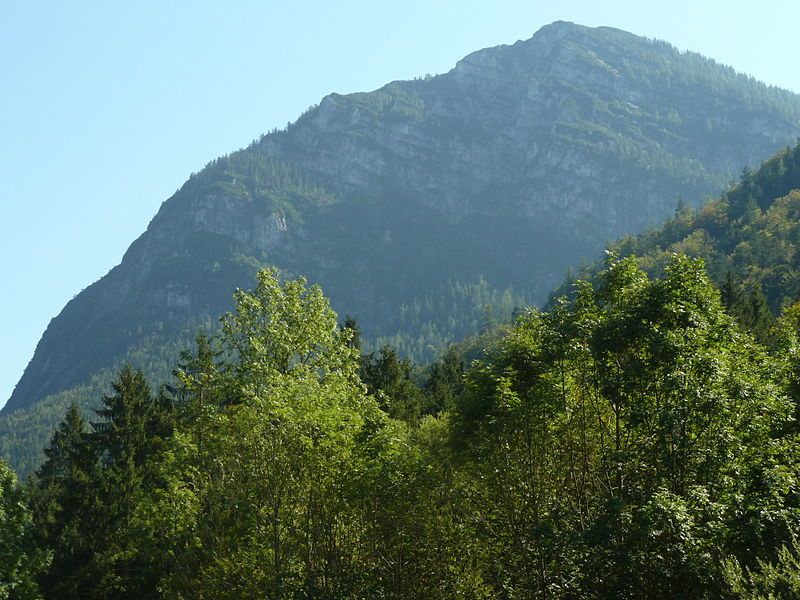 File:RistfeuchthornVonWeißbach.jpg