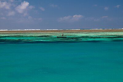 Beach in Robinson Island Kenya