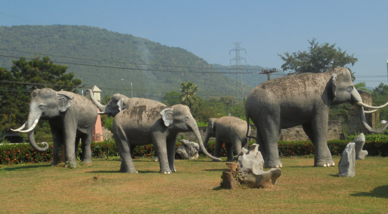 File:Sappraiwan elephants.png