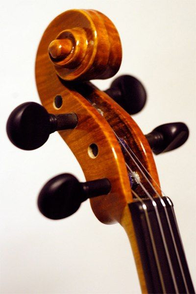 File:Tuning pegs.jpg