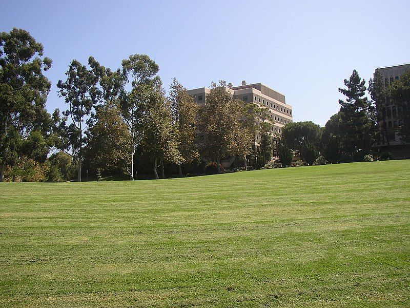 File:Uc irvine8300037.jpg