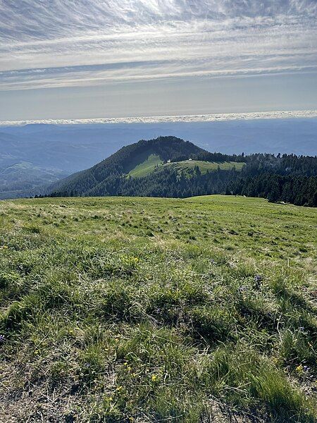 File:West Side Meadow.jpg