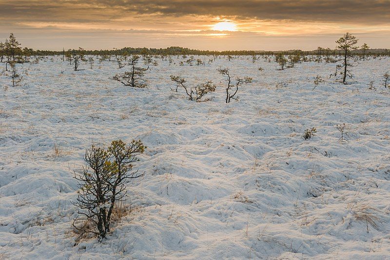 File:WinterAtKakerdaja.jpg